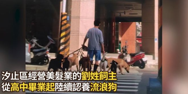 养了33只狗被投诉,可工作人员进屋一看非常惊讶:这也太舒适了吧!