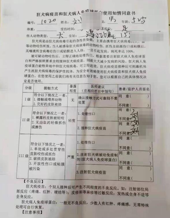 “在渠县当街打死金毛犬”事件调查:社区寻主人未果按流浪狗处理、狗主人发声
