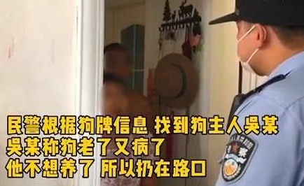 狗狗因年老被弃路边还被车撞,主人:狗老了不想养