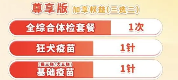 年轻人给宠物买保险:猫猫狗狗看病比人贵