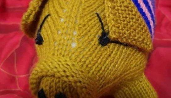 泰迪犬迎来了一位新的朋友,它是只玩具的小猪,它俩的关系非常好