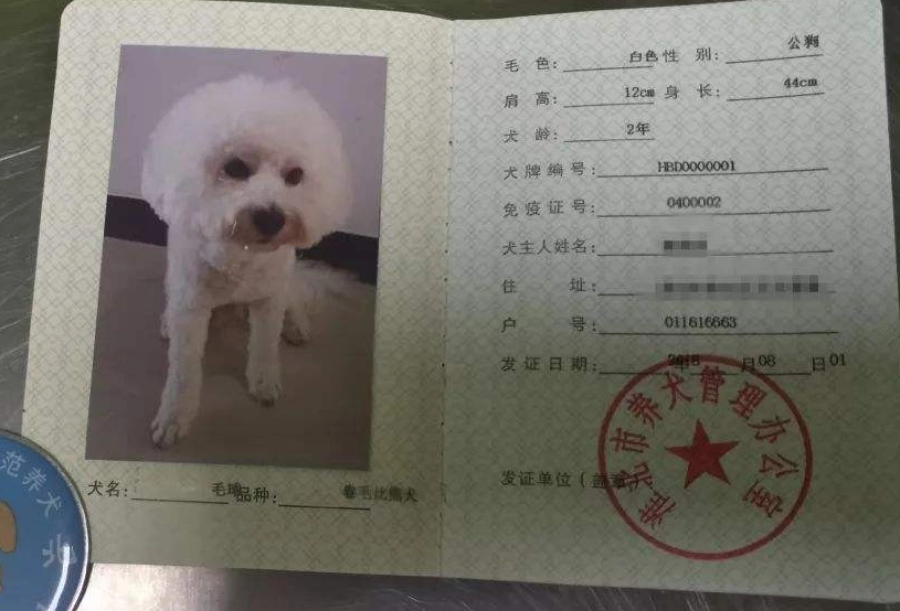 网购买到“星期狗” 专家提醒:购买宠物注意查看免疫证明