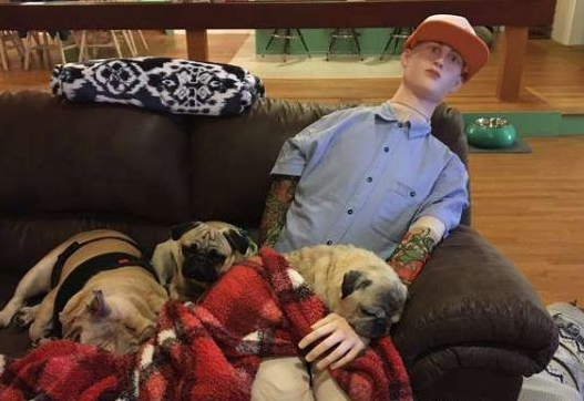 焦虑症巴哥犬超黏爸拔 假把拔的到来安抚它