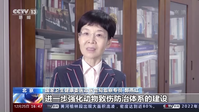 我国每年4千万人被猫狗咬伤,如何防治避免狂犬病?专家回应