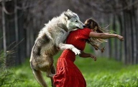 女子与狗主人争吵打架，被狗硬生生扯下裤子：马赛克已经不够用了