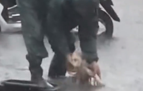 狗狗下雨天还总往外跑,主人一气之下直接用路上积水给狗洗了个澡