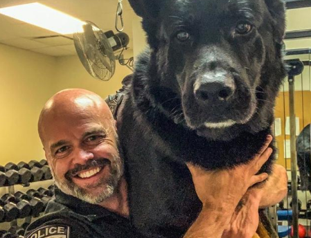 警犬追犯人从6米高跳下,受伤还努力完成任务,帅得不行!