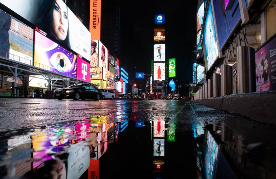 纽约治鼠患:“狗拿耗子”管得不错