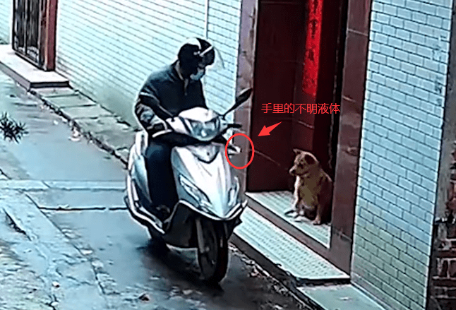 狗被喷不明液体后迅速死亡,江门公安:嫌犯被抓获,有偷狗前科