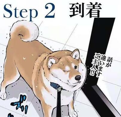 柴犬打针是什么体验,漫画图的表现,让它在怀疑“狗生”