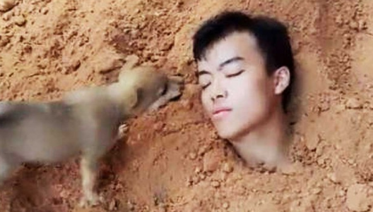 主人想逗狗狗玩,竟将自身埋进土中,但它不由自主的行为,令人泪崩