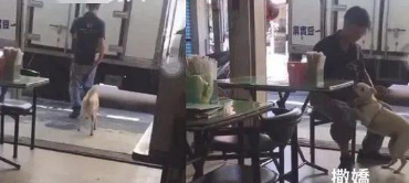 小狗备受全家人的疼惜，但它最喜欢的却并不是家人....只是......