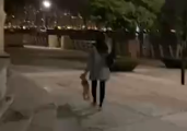 狗狗被主人提着耳朵丢弃公园,吓到失禁,网友:不是第一次了!