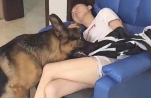 狗狗趁漂亮美女入睡做这样的事情,男朋友见到后一脸难堪,网民:真贴心