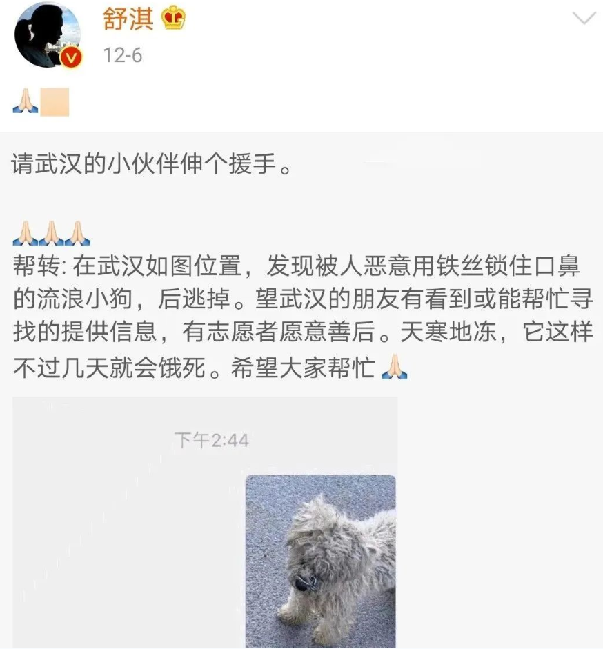 流浪狗嘴巴被铁丝绑住,无法进食喝水,在好心人的帮助下它有了家