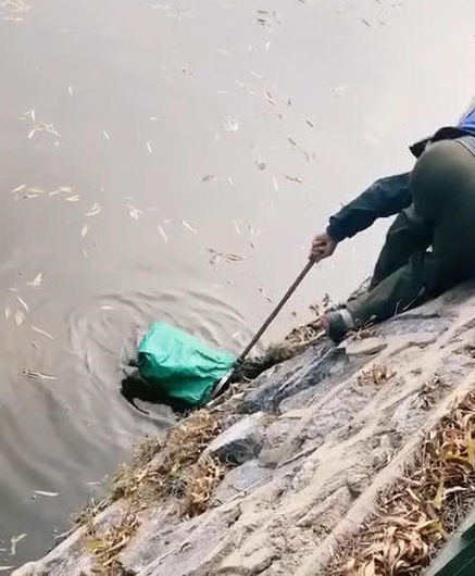 泰迪不小心掉进水里,大爷不顾危险出手相救,狗狗知恩图报