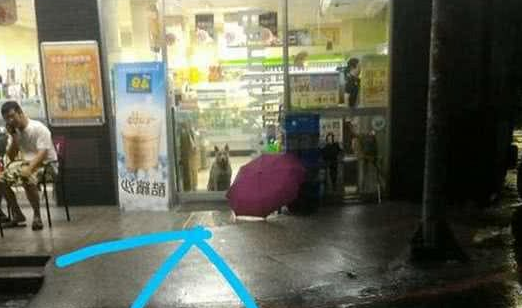 胖狗每次回家都会咬回一堆热狗,好奇的主人偷偷跟踪它出门……
