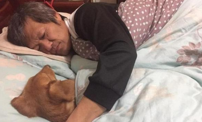 铲屎官挖地自身跳,找来父母照料狗狗,出差回家了后却发觉影响力不保