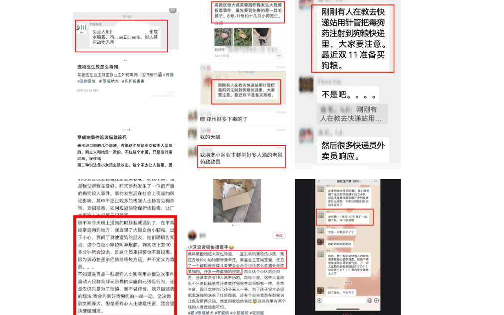 我为流浪狗发声!抵制大规模捕杀流浪狗!