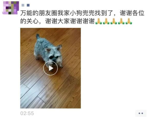 小狗两次到派出所“报案”!网友:好聪明的汪