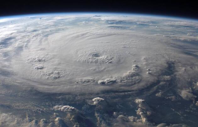 狗狗帮主人拆包裹发现里面都是书，结果特兴奋地上去把书撕个稀碎