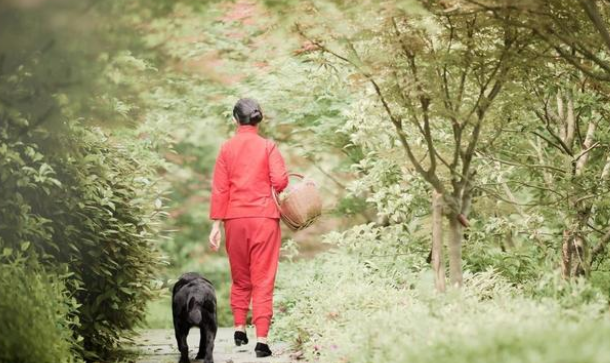 开车途中偶遇五只小奶狗,带回家后竟被人说不务正业