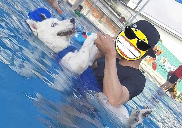 主人家带小狗去游水,哪想二哈忽然飘在河面上:您它是卡死了?