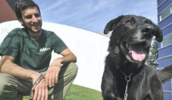 狗狗被收留一个月后仍不高兴，出现意外发觉的一封信，解释了所有原因