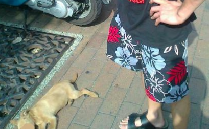 台湾男子徒手虐死幼犬 称“我教训它不关别人的事!”