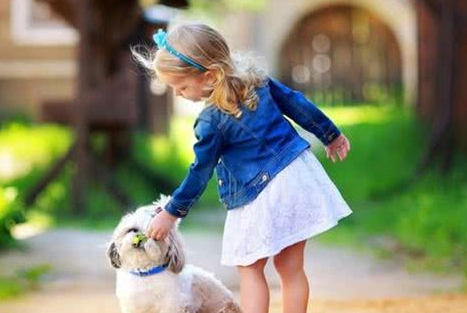 狗狗明明知错了但就是不改!想让它听话,诀窍在于给选择