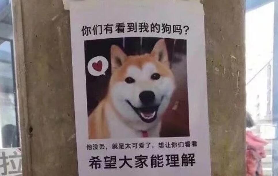 本以为是寻狗启示,没想到是炫狗狂魔,网友的“报复”手段太秀了