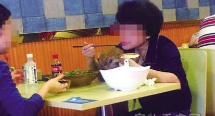 母女餐馆吃饭与狗共用碗筷 引起争议