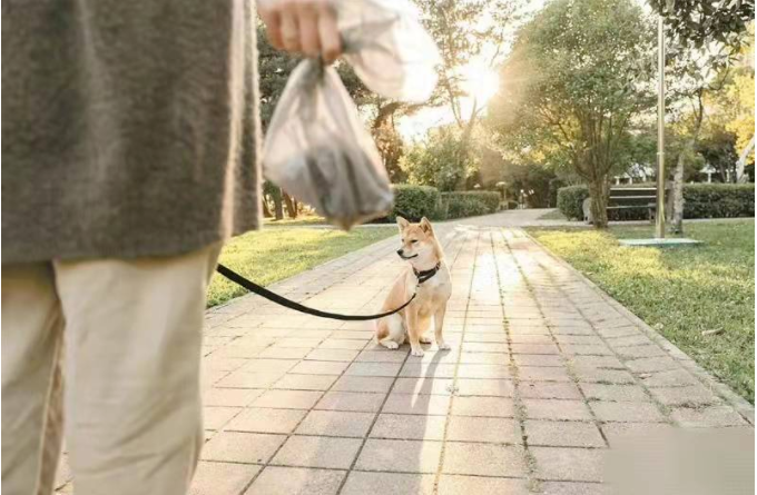 邯郸12岁男孩被4恶犬咬死,这次,“爱狗人士”出来说话了!