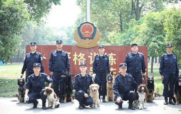 “反恐”走进航站楼 8只警犬成现场“小明星”