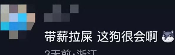 警犬执勤时憋不住拉粑粑,满脸羞愧,网友:带薪拉屎!