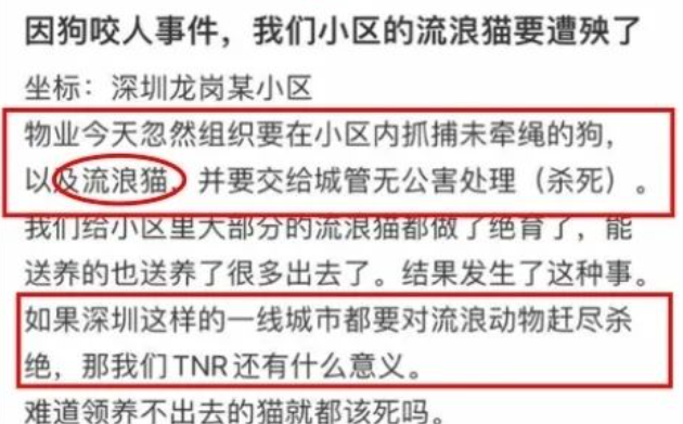 我为流浪狗发声!抵制大规模捕杀流浪狗!