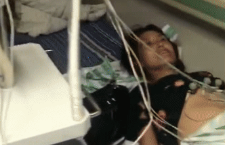 紧急求助!三百只流浪猫狗已经断粮,一起帮帮它们吧!