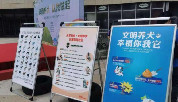 青岛开展养犬管理专项整治行动 遛狗不牵绳涉嫌违法