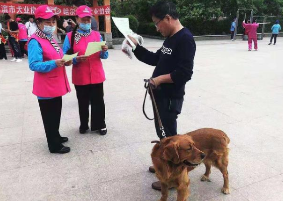 狗出门是否要戴嘴套?听他们都咋说!