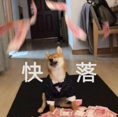 据说养狗后的人都有这些“困扰”