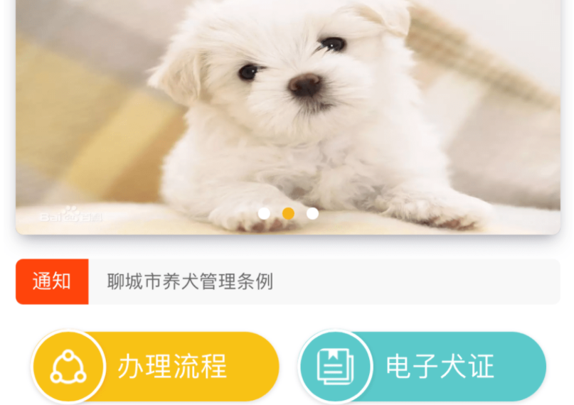 聊城上线 “电子犬证”,开始对养犬进行信息化管理