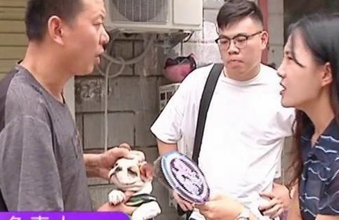 男子买了条法国斗牛犬,回家一看傻了眼,老板:你打电话报警吧