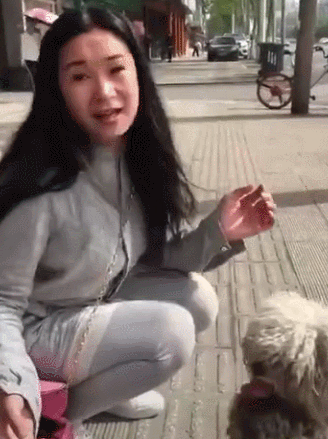 一只流浪狗的蜕变,感谢让它遇见了有爱的主人,从此不用颠沛流离
