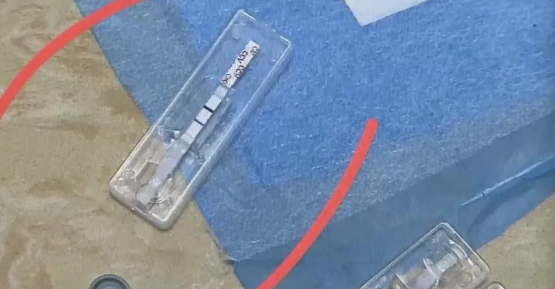 直播间买的博美犬，不到一周就病死了？宠物店：跟我没关系