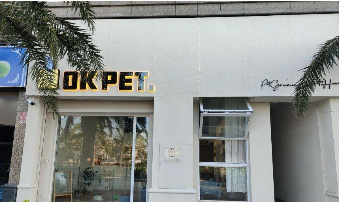 海口一宠物狗寄养期间死亡,狗主人索赔5万元 店家:刚出院就送来宠物店