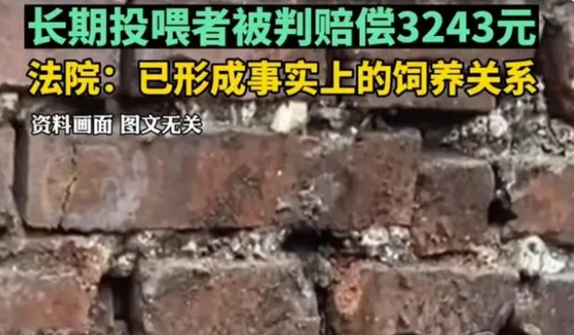 陕西流浪狗咬伤居民,长期投喂者被判赔偿3000元,网友:善没善报