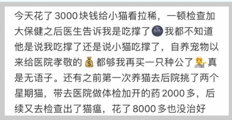 猫狗看病动辄花几千元,宠物医疗为何如此昂贵