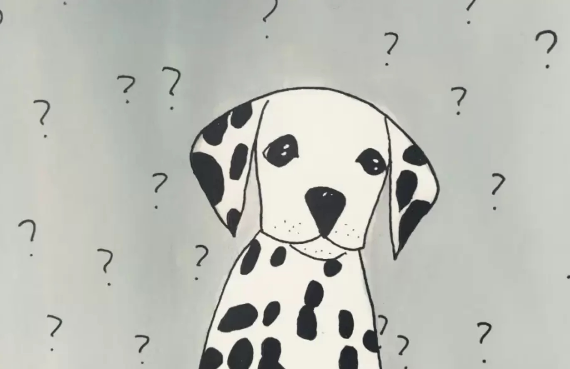 蜥蜴、刺猬等网红宠物,会传染狂犬病吗 | 世界狂犬病日