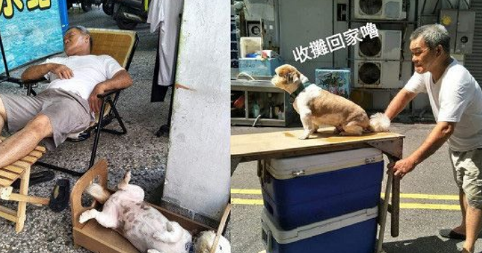 满嘴说讨厌狗的爸爸 如今却是最爱狗狗的