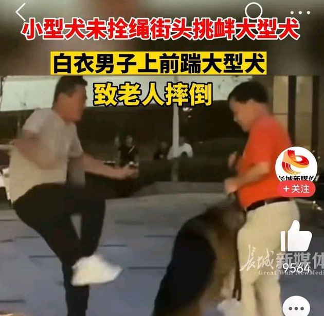 未牵绳小狗挑衅大狗被咬 男子踹狗致老人摔倒